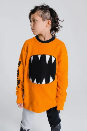 Boys Sweatshirt Nununu Fuzzy Roar