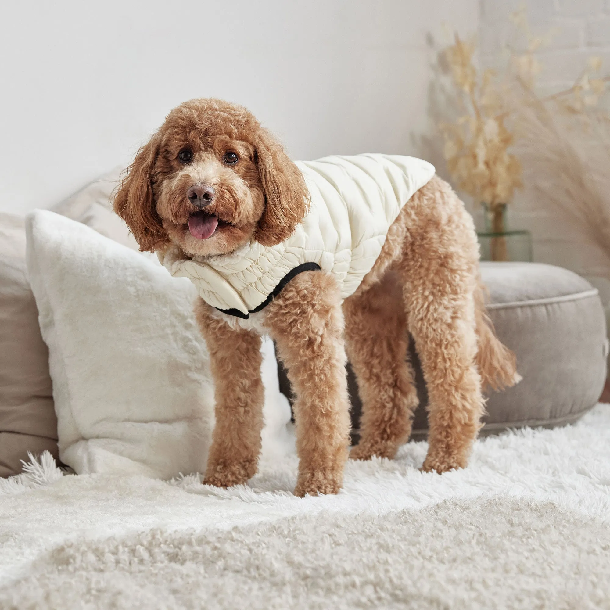 GF Pet Cloud Parka - Sand for Dogs