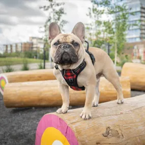 The Lumberjack Plaid Dog Harness (Final Sale)